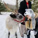 Reindeer Kiss